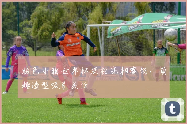 粉色小猪世界杯装扮亮相赛场，萌趣造型吸引关注